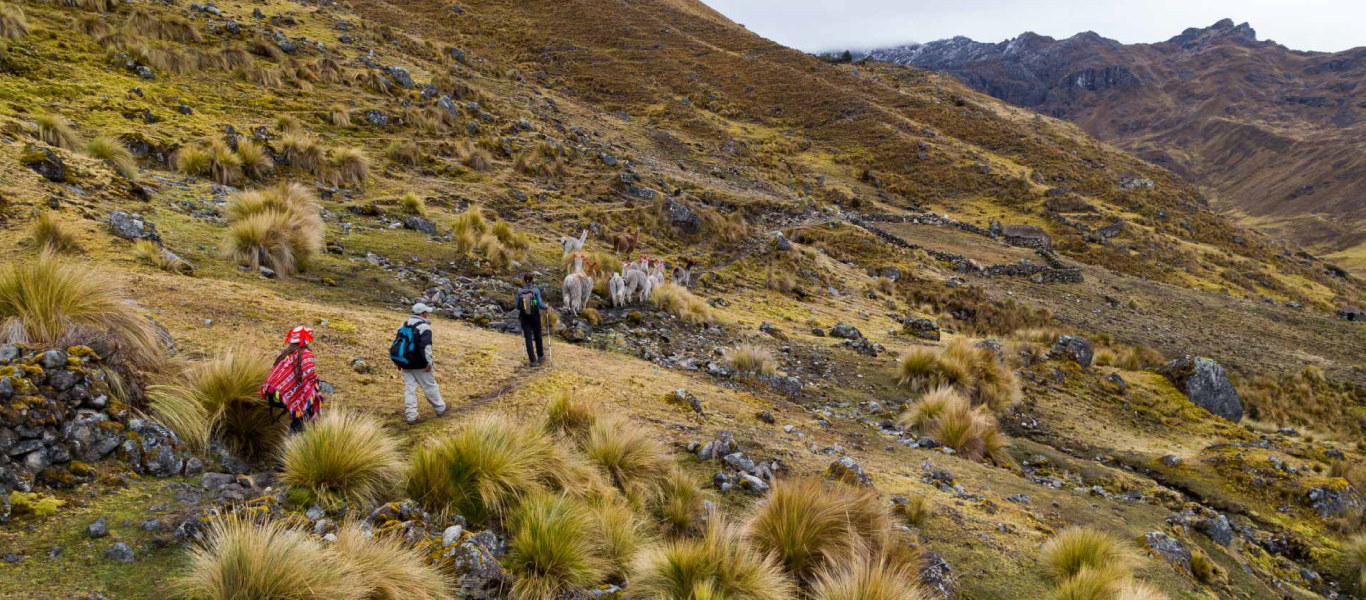 Lares | Cusco