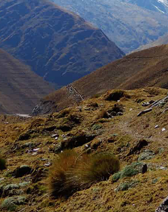 Abra Malaga | Cusco
