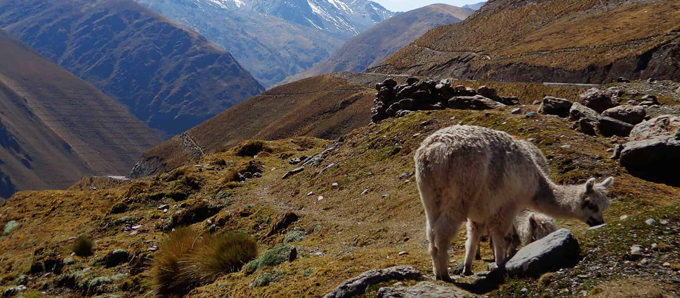 Abra Málaga | Cusco
