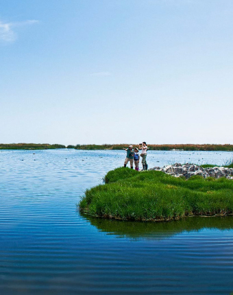 Wetlands of Ite | Tacna