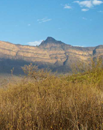 Chaparri Private Conservation Area | Lambayeque