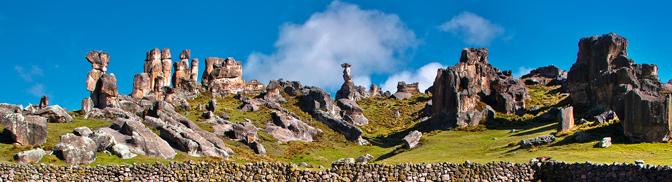 Bosque de Piedra | Pasco