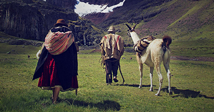 The Peruvian film Wiñaypacha won the FEISAL award (American Federation of Image and Sound Schools) at the Guadalajara International Film Festival.