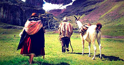 Wiñaypacha wins two awards at the Guadalajara Film Festival