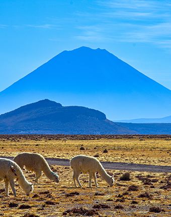 Arequipa: Amazing spots in the land of volcanoes