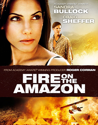 Fire on the Amazon